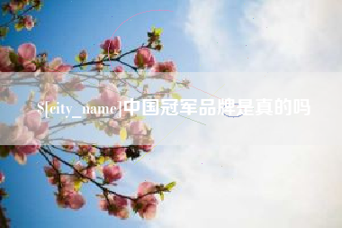 沈阳中国冠军品牌是真的吗