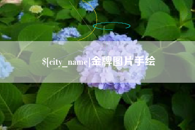 沈阳金牌图片手绘