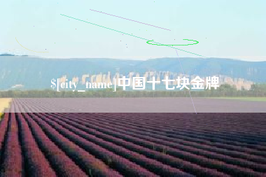 沈阳中国十七块金牌
