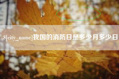 沈阳我国的消防日是多少月多少日