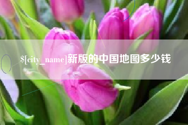 沈阳新版的中国地图多少钱