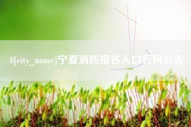 沈阳宁夏消防报名入口官网公告