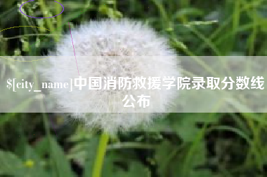 沈阳中国消防救援学院录取分数线公布