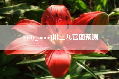 沈阳排三九宫图预测