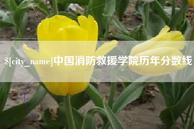 沈阳中国消防救援学院历年分数线