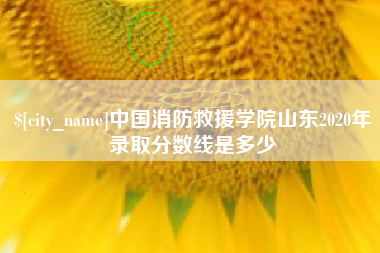 沈阳中国消防救援学院山东2020年录取分数线是多少