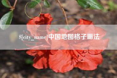 沈阳中国地图格子画法