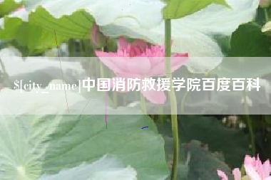 沈阳中国消防救援学院百度百科