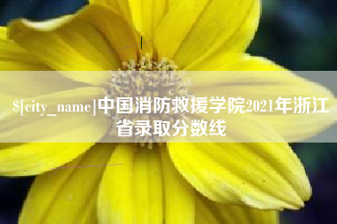 沈阳中国消防救援学院2021年浙江省录取分数线