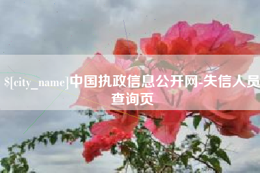 沈阳中国执政信息公开网-失信人员查询页