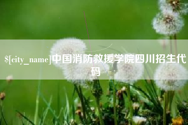 沈阳中国消防救援学院四川招生代码