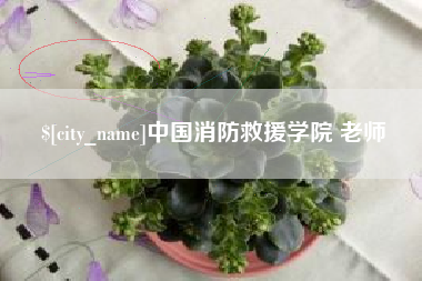 沈阳中国消防救援学院 老师