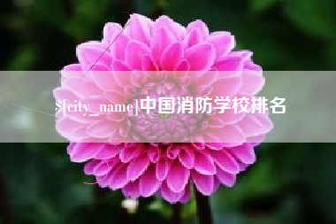 沈阳中国消防学校排名