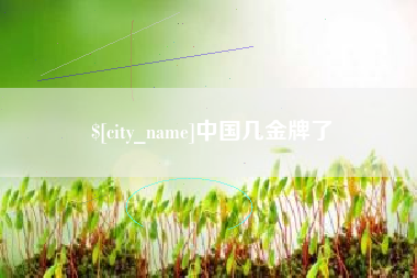 沈阳中国几金牌了