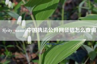 沈阳中国执法公开网征信怎么查询