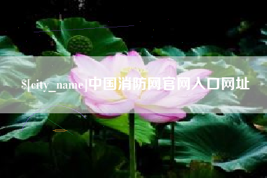 沈阳中国消防网官网入口网址