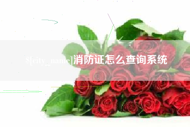 沈阳消防证怎么查询系统