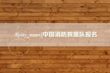 沈阳中国消防救援队报名