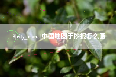 沈阳中国地图手抄报怎么画
