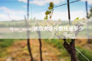 沈阳消防大学分数线是多少
