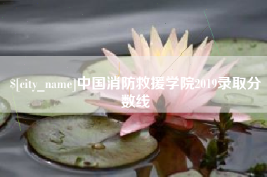 沈阳中国消防救援学院2019录取分数线