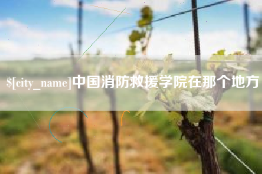 沈阳中国消防救援学院在那个地方