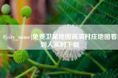 沈阳免费卫星地图高清村庄地图看到人实时下载