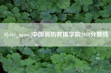 沈阳中国消防救援学院2018分数线