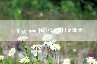 沈阳我国消防日是哪天