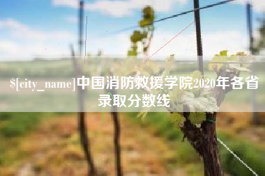 沈阳中国消防救援学院2020年各省录取分数线