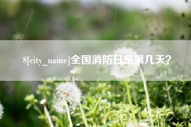 沈阳全国消防日是第几天？