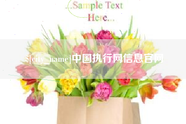 沈阳中国执行网信息官网