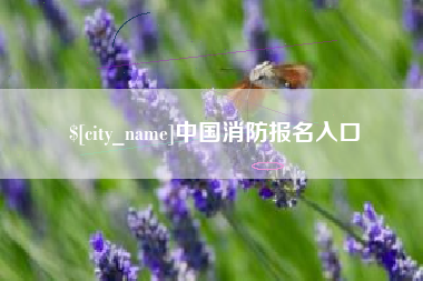 沈阳中国消防报名入口