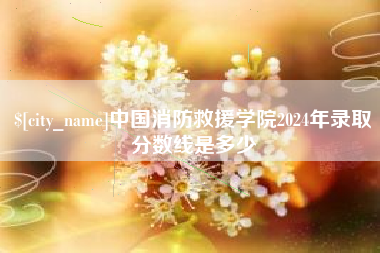 沈阳中国消防救援学院2024年录取分数线是多少