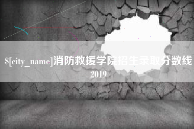 沈阳消防救援学院招生录取分数线2019
