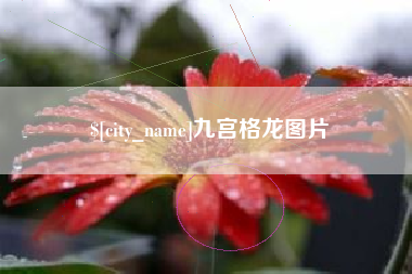 沈阳九宫格龙图片