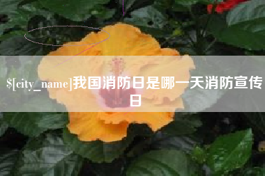 沈阳我国消防日是哪一天消防宣传日