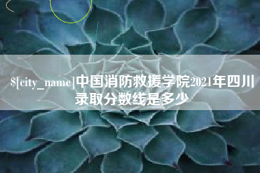 沈阳中国消防救援学院2021年四川录取分数线是多少
