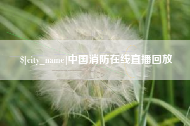 沈阳中国消防在线直播回放