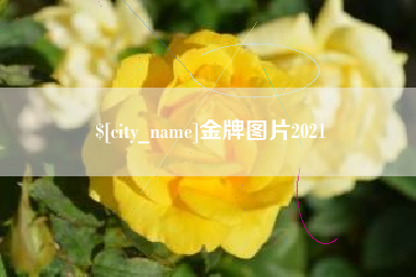 沈阳金牌图片2021