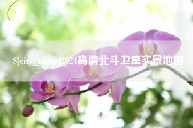 沈阳2024高清北斗卫星实景地图