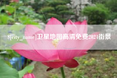 沈阳卫星地图高清免费2024街景