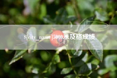 沈阳5000米及格成绩