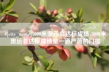 沈阳5000米奥运会达标成绩-5000米奥运会达标成绩是一道严苛的门槛
