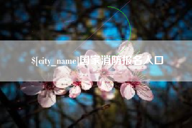 沈阳国家消防报名入口
