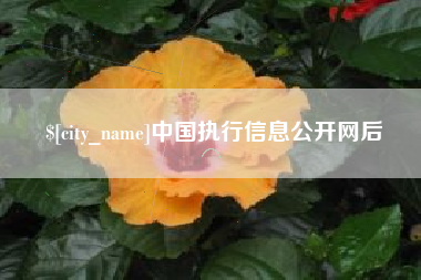 沈阳中国执行信息公开网后