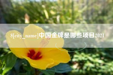 沈阳中国金牌是哪些项目2021