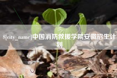 沈阳中国消防救援学院安徽招生计划