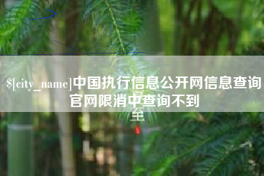 沈阳中国执行信息公开网信息查询官网限消中查询不到