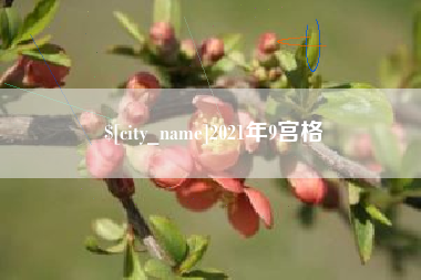 沈阳2021年9宫格